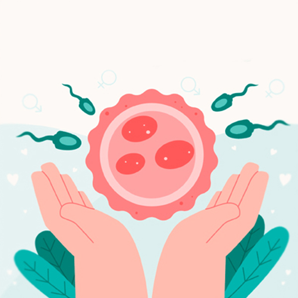 Fertility Specialist